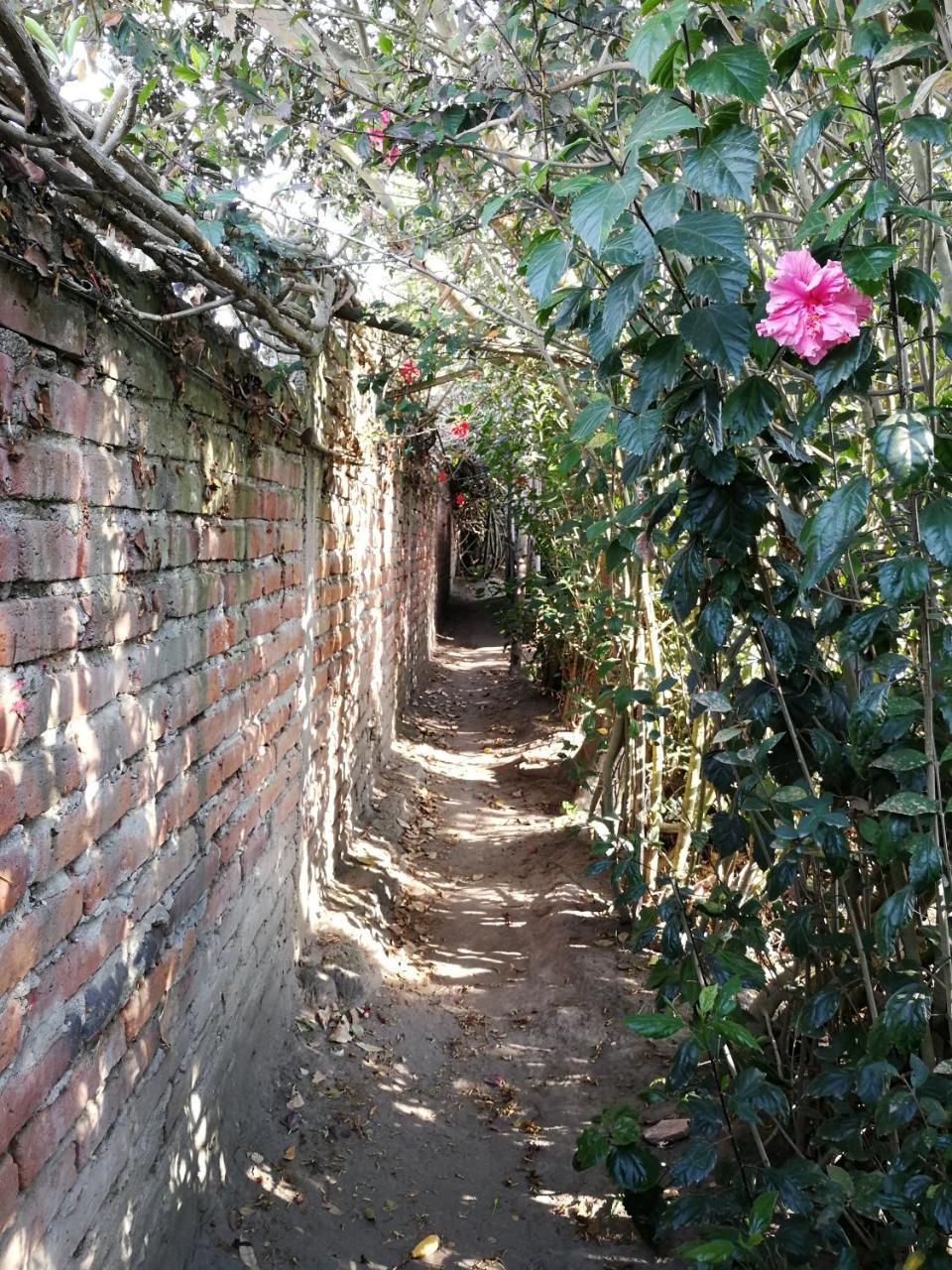 Chapelet Hostal ตาบาเบลา ภายนอก รูปภาพ