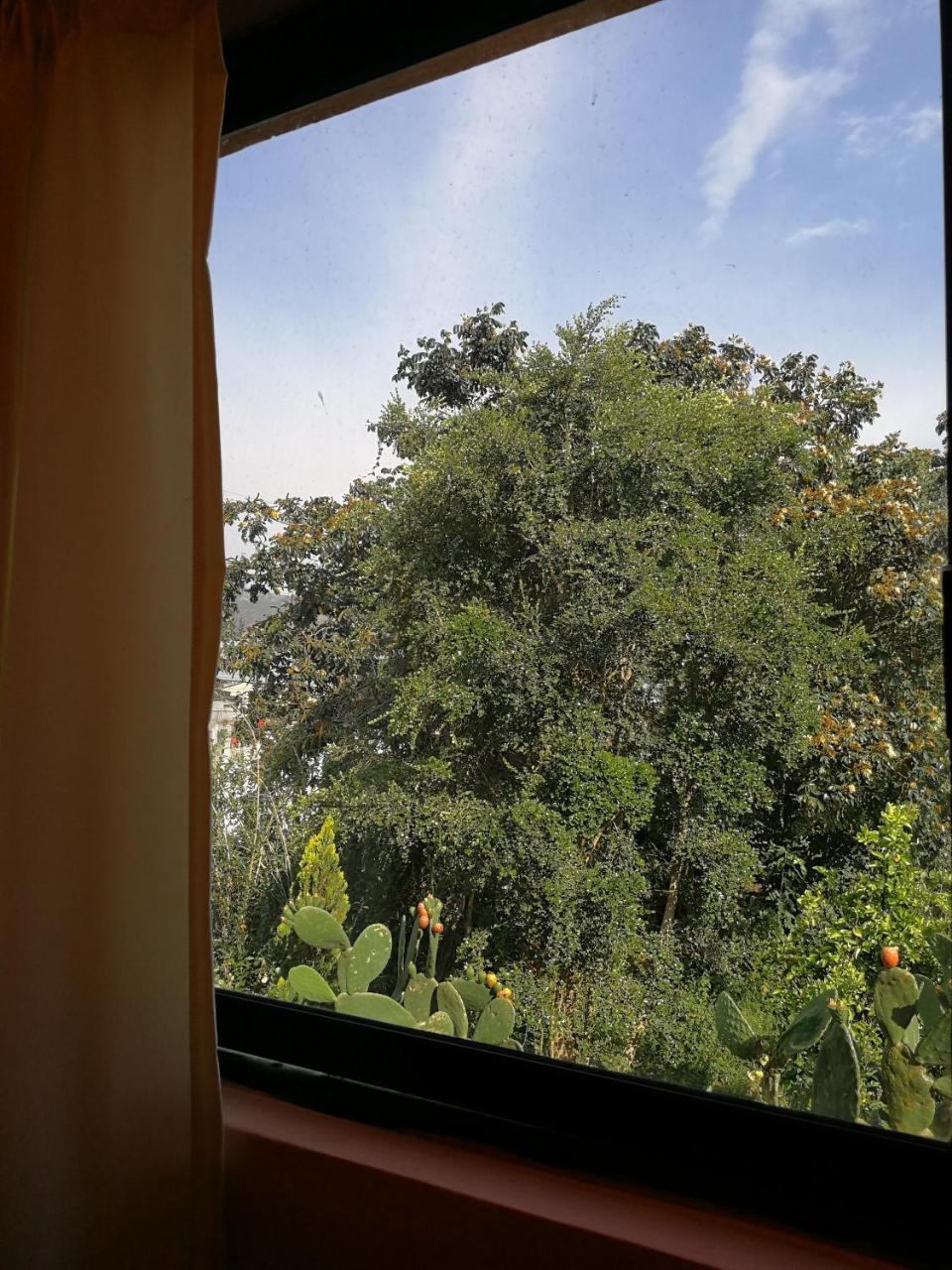 Chapelet Hostal ตาบาเบลา ภายนอก รูปภาพ